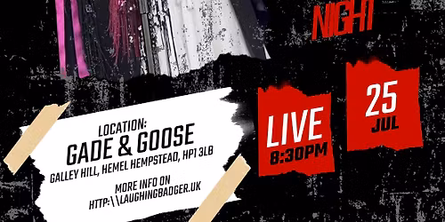 Stevie Nicks & Fleetwood Mac Tribute