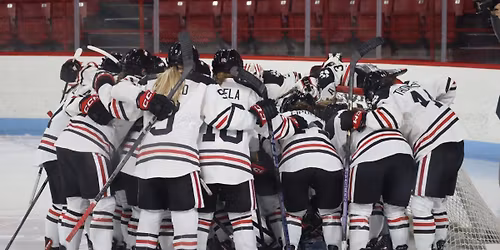 Sacred Heart Pioneers at Northeastern Huskies Womens Basketball