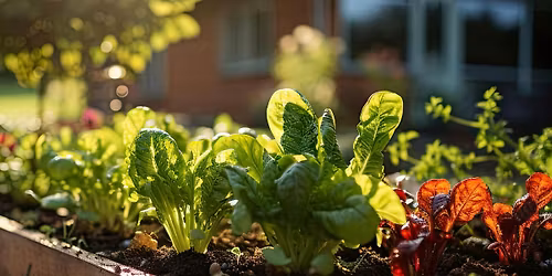 Gardening Series: Garden Growth (18 & Up), $4 per person