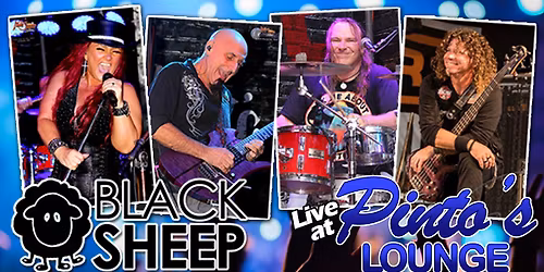 Black Sheep Rocks Pinto's