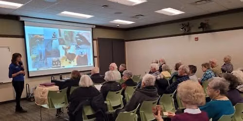 OWLS (Older, Wiser, Livelier, Seniors) - What's New at the Zoo
