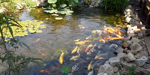 25th Annual Pond Tour