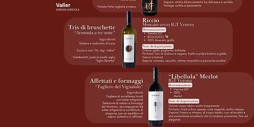 Dal Vigneto al Calice \u2013 Degustazione Sensoriale Al Passo