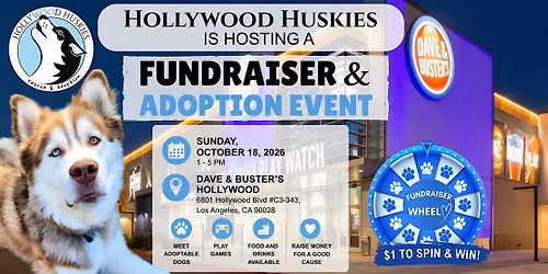 Hollywood Huskies & Dave & Buster's Fundraiser & Adoptions