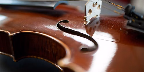 Viola-Abend