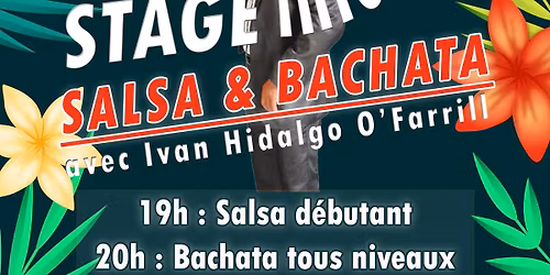 Stage intensif  \ud83c\udfb6\u2728Salsa & Bachata\u2728\ud83c\udfb6 avec Ivan Hidalgo O\u2019Farrill