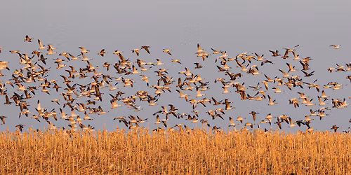 2026 Bay County Ducks Unlimited Banquet