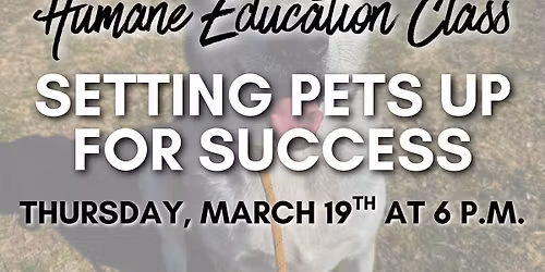 Setting Pets Up For Success 