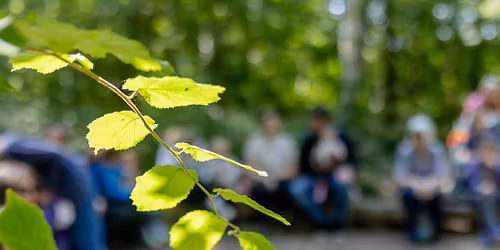 Nature Arts and Crafts for Adults at Swanwick Lakes