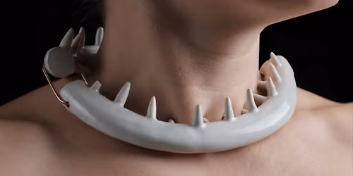 Domesticated | Catherine Guevara & Robbi Carvalho