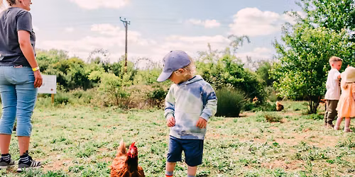Farm Open Day at The Macs Farm, Ditchling