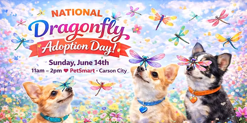 National Dragonfly Adoption Day