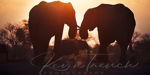 Southern African Christmas Market