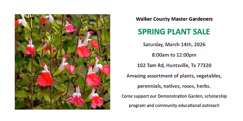 SPRING PLANT SALE 2026