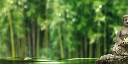 Earth Day Meditation with Gongs & Himalayan Singing Bowls