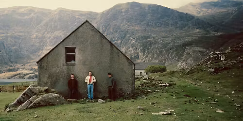 Kingfishr in Co. Mayo