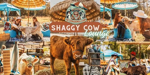 The Shaggy Cow Lounge & Cabanas w/ Fluffy Highland Cows! | Cookeville, NC