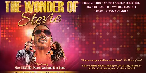 The Wonder of Stevie