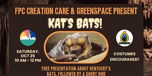 Kat's Bats!