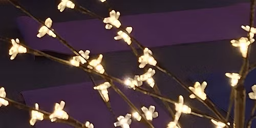 Crystal Singing Bowls and Meditation