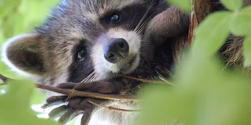 Omnivores: Open House