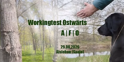 Workingtest Ostw\u00e4rts