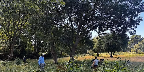 The Conservation Volunteers - Crane Park Mill Road Meadow Management