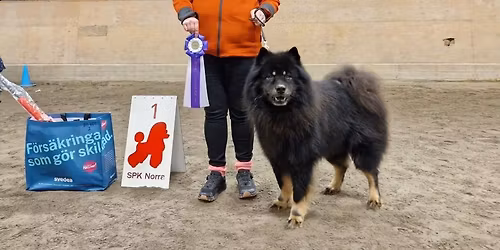 INOFFICIELL UTST\u00c4LLNING ALLA RASER 4 m\u00e5n