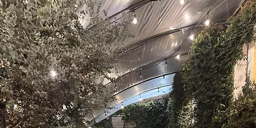 Paint & Sip with Jessica