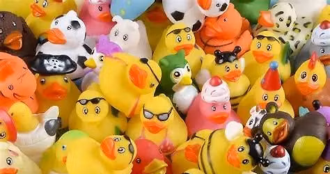 Duck, Duck, Deal!   Friends of the Library Garage Sale
