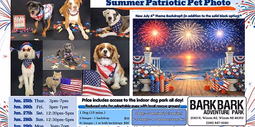 Summer Patriotic Pet Photo at Bark Bark Adventure Park