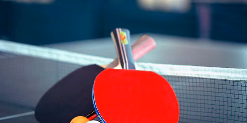 Table Tennis Fun Night — Main Road, Homedale, Wainuiomata, New Zealand 5014