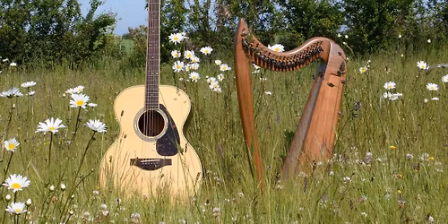 Acoustic Sesh - The Blow-Ins