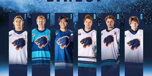 Anchorage Wolverines at Wisconsin Windigo at The Ponds of Brookfield Ice Arena