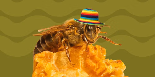 3rd Annual White Lake Honey Fest!