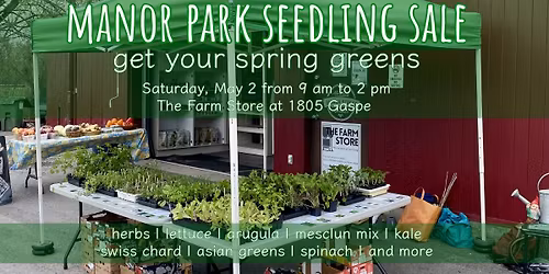 Manor Park seedling sale | Get your spring greens