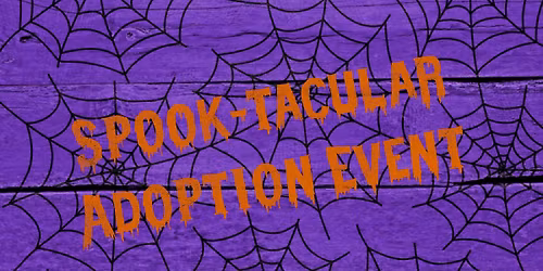 Spook-tacular Adoption Event!