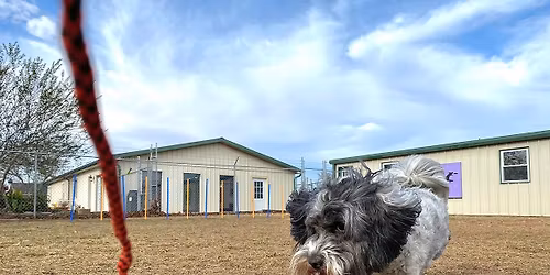 CANINE ENRICHMENT WORKSHOP
