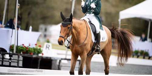 Ayden Schain Clinic (MeCTA Affiliated)