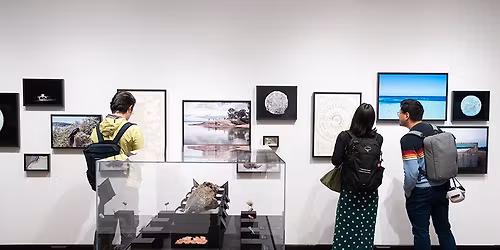 FREE ArtsThursdays at the Peabody Museum of Archaeology & Ethnology