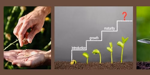 Seed Discovery: From Seed to Sprout