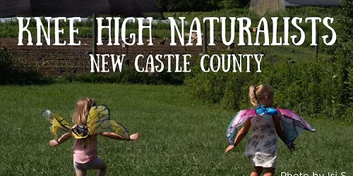 Knee High Naturalists ~ New Castle County
