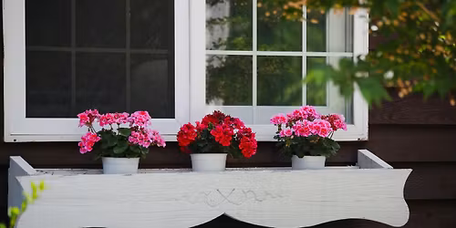 Distribution gratuite de fleurs et de v\u00e9g\u00e9taux pour les r\u00e9sidents de Saint-L\u00e9onard