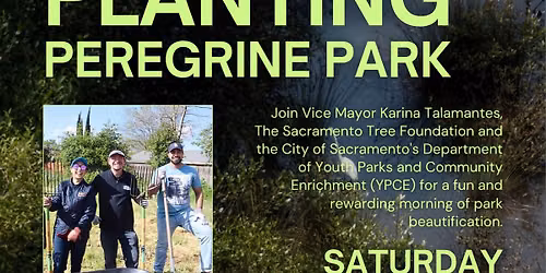 Peregrine Park Tree Planting