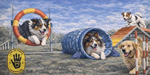 Introduksjonskurs i Agility