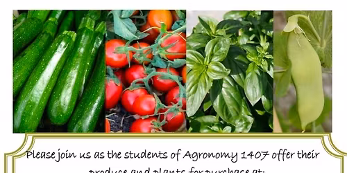 Amarillo College Annual Farmers Market 