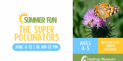 The Super Pollinators - Summer Fun