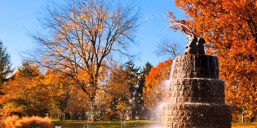 Poet Trees Meet-Up (November)