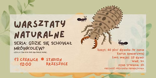 [Krzeszyce] WARSZTATY NATURALNE - Gdzie si\u0119 schowa\u0142 mr\u00f3wkolew? [obecnie: ZAPISY NA LIST\u0118 REZERWOW\u0104]