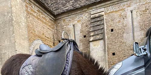 Donkey Days